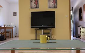 Studia Pasieka